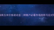 海南玉米价格波动全种植户必看市场趋势与应对策略