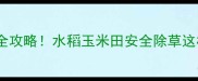 最新版拜耳除草剂骠马种植全攻略水稻玉米田安全除草这样做增产30的秘诀在这
