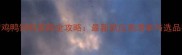 遂宁鸡鸭饲料采购全攻略最新供应商清单与选品指南
