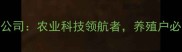 广东快大饲料有限公司农业科技领航者养殖户必看的饲料解决方案