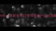 8月安徽生猪价格波动分析最新市场行情与养殖户应对策略附地区价格明细