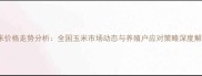 玉米价格走势分析全国玉米市场动态与养殖户应对策略深度解读