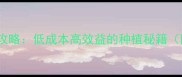 小农户农药生产全攻略低成本高效益的种植秘籍附安全操作指南