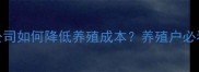杭州鸭饲料公司如何降低养殖成本养殖户必看技术指南