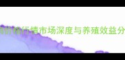 公鸡价格行情市场深度与养殖效益分析