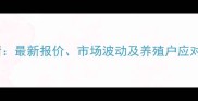 8月全国肉毛鸭价格行情最新报价市场波动及养殖户应对策略附区域价格表