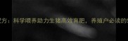仔猪王饲料配方科学喂养助力生猪高效育肥养殖户必读的5大核心要点