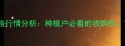 10月东北玉米最新价格行情分析种植户必看的收购价市场趋势与政策解读