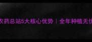江苏农药总站5大核心优势全年种植无忧指南