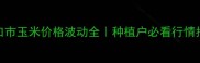 梅河口市玉米价格波动全种植户必看行情指南