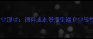 行业现状饲料成本暴涨倒逼企业转型