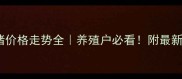 四川土杂猪价格走势全养殖户必看附最新行情数据