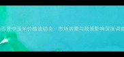 山西晋中玉米价格波动全市场供需与政策影响深度调查