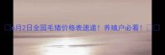 6月2日全国毛猪价格表速递养殖户必看