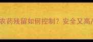 芹菜种植必看农药残留如何控制安全又高产的种植技巧全