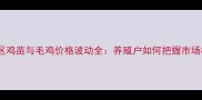 山东地区鸡苗与毛鸡价格波动全养殖户如何把握市场机遇
