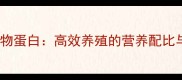 反刍饲料添加动物蛋白高效养殖的营养配比与科学应用指南