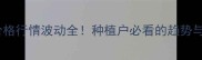 玉玉米价格行情波动全种植户必看的趋势与应对策略