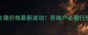 福建生猪价格最新波动养殖户必看行情分析