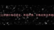 武汉土杂猪价格动态全市场行情价格走势及养殖建议