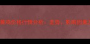 10月国内三黄鸡价格行情分析走势影响因素及未来预测