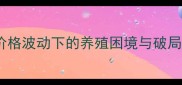 玉米价格波动下的养殖困境与破局之道