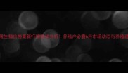涪陵生猪价格最新行情波动分析养殖户必看6月市场动态与养殖建议