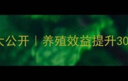 保育饲料科学配方大公开养殖效益提升30的黄金配比方案