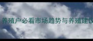 绥中生猪价格波动大养殖户必看市场趋势与养殖建议附最新报价