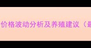 柘城土杂猪价格波动分析及养殖建议最新行情