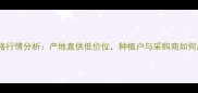 宜昌玉米批发价格行情分析产地直供低价位种植户与采购商如何应对市场波动