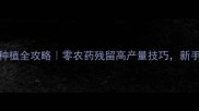 韭菜花种植全攻略零农药残留高产量技巧新手必看
