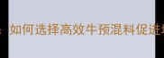 肉牛饲料科学配方如何选择高效牛预混料促进增重与疾病预防