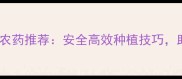 爆款农富利农药推荐安全高效种植技巧助农增收指南