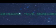 10月蒜苗价格波动分析产地行情市场趋势与种植建议