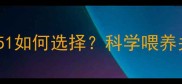 断奶小猪饲料配方851如何选择科学喂养关键要点与营养配比