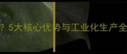 玉米压片饲料是什么5大核心优势与工业化生产全流程附成本对比