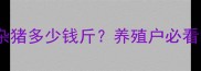 松滋市土猪价格波动全土杂猪多少钱斤养殖户必看的成本与市场趋势最新数据