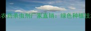 广州高效环保农药杀虫剂厂家直销绿色种植技术与采购指南