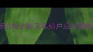 彰武生猪价格行情分析最新价格走势及养殖户应对策略含政策解读与市场预测