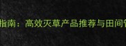 华北地区玉米除草剂使用指南高效灭草产品推荐与田间管理技巧附最新数据