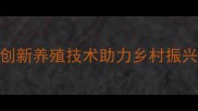 一元饲料公司创新养殖技术助力乡村振兴行业趋势深度