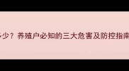 饲料毒素知多少养殖户必知的三大危害及防控指南最新版