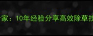 草甘膦除草剂研发专家10年经验分享高效除草技术附使用全攻略