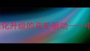 饲料加工技术创新绿色生产与智能化升级的双轮驱动中国饲料行业可持续发展白皮书解读