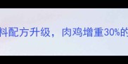 养殖户必看饲料配方升级肉鸡增重30的秘诀大公开