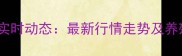 辽宁生猪养殖价格实时动态最新行情走势及养殖户必看应对策略