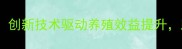北京科兴大地饲料创新技术驱动养殖效益提升助力乡村振兴战略