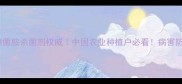 最新指南缬菌胺杀菌剂权威中国农业种植户必看病害防治全攻略