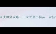 甲乙秀除草剂玉米使用全攻略三天灭草不伤苗农技专家亲测有效